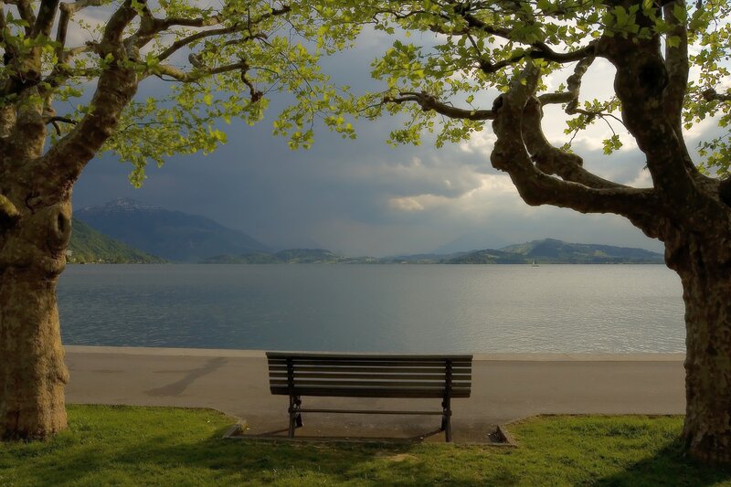 Bench by Lake — Green, Serene, Afternoon