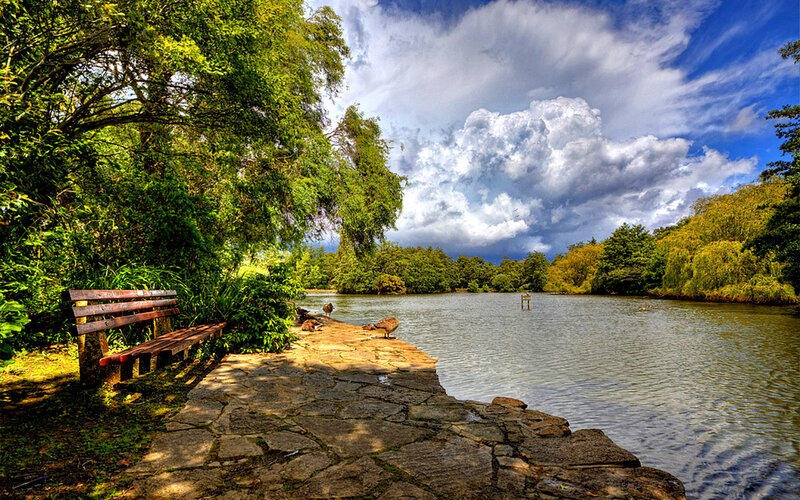 Bench by Lake — Green, Serene