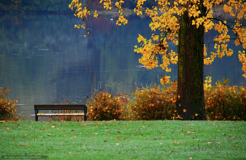 Bench by Lake in Autumn — Green