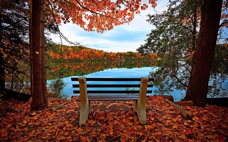 Bench by Lake in Autumn — Orange, Serene