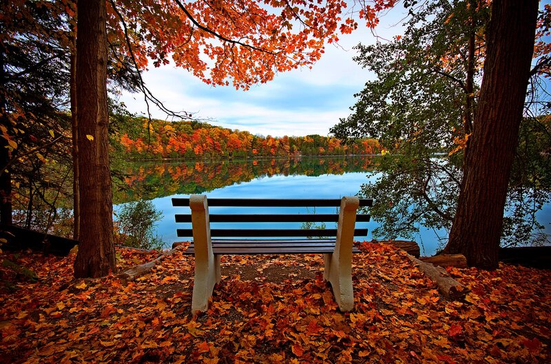 Bench by Lake in Autumn — Orange