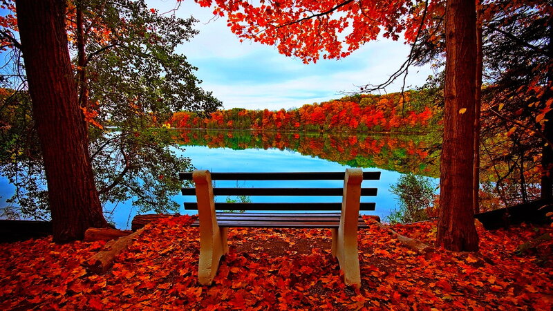Bench by Lake in Autumn — Red
