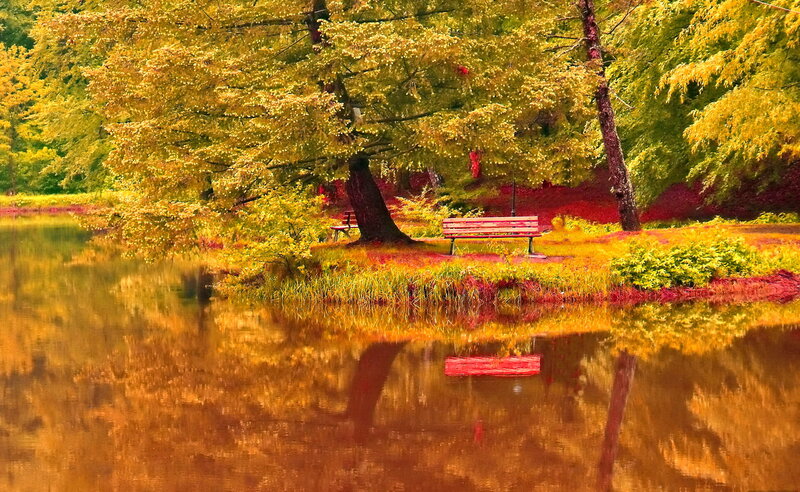 Bench by Lake in Autumn