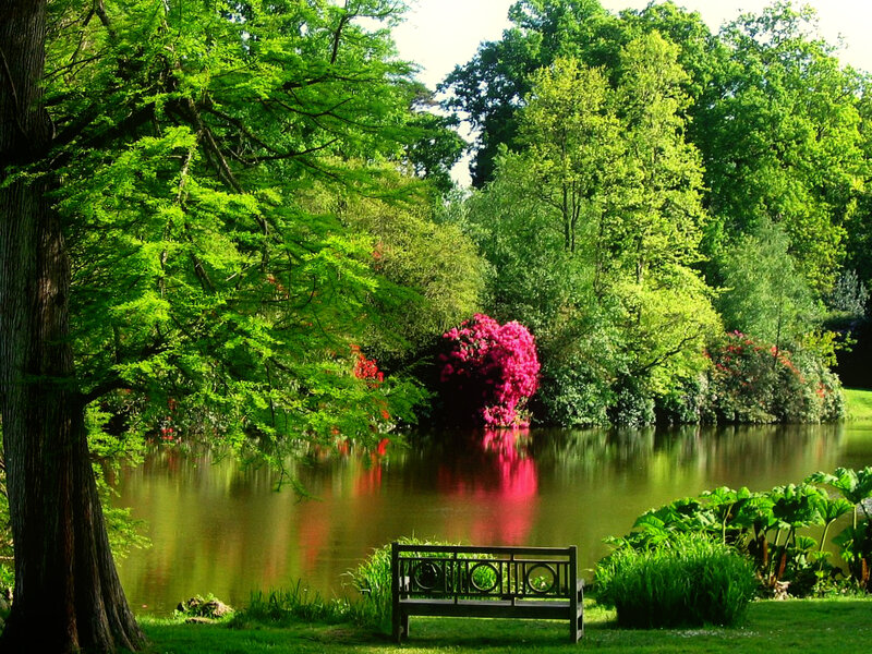 Bench by Lake in Garden