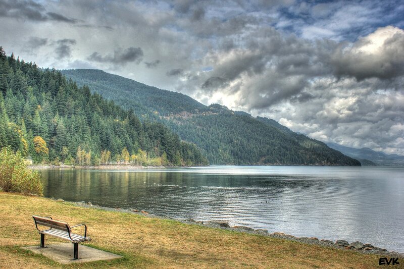 Bench by Lake Shore