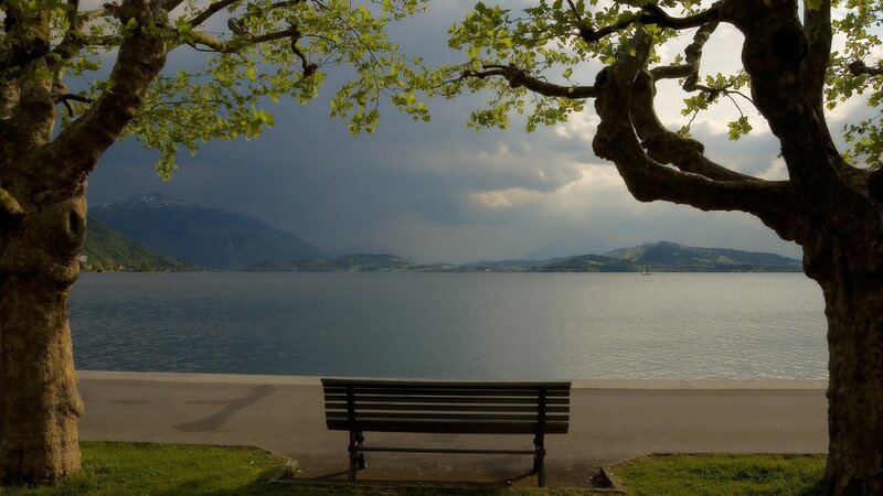 Bench by Lake