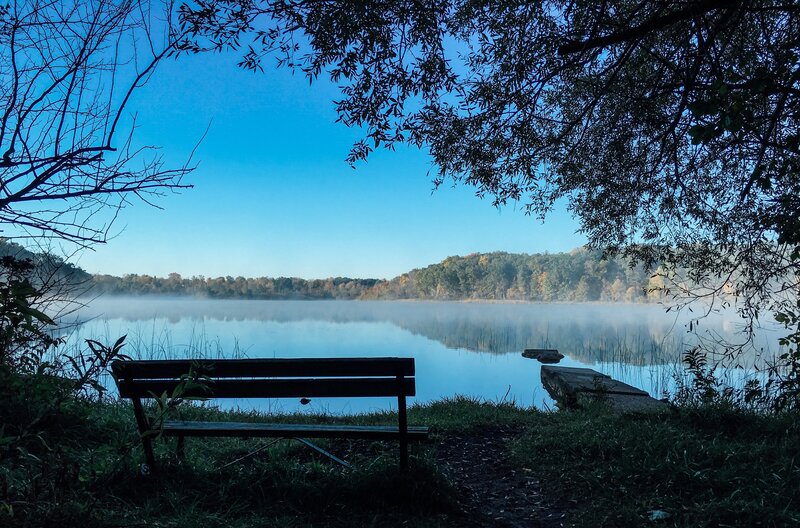 Bench by misty lake at dawn
