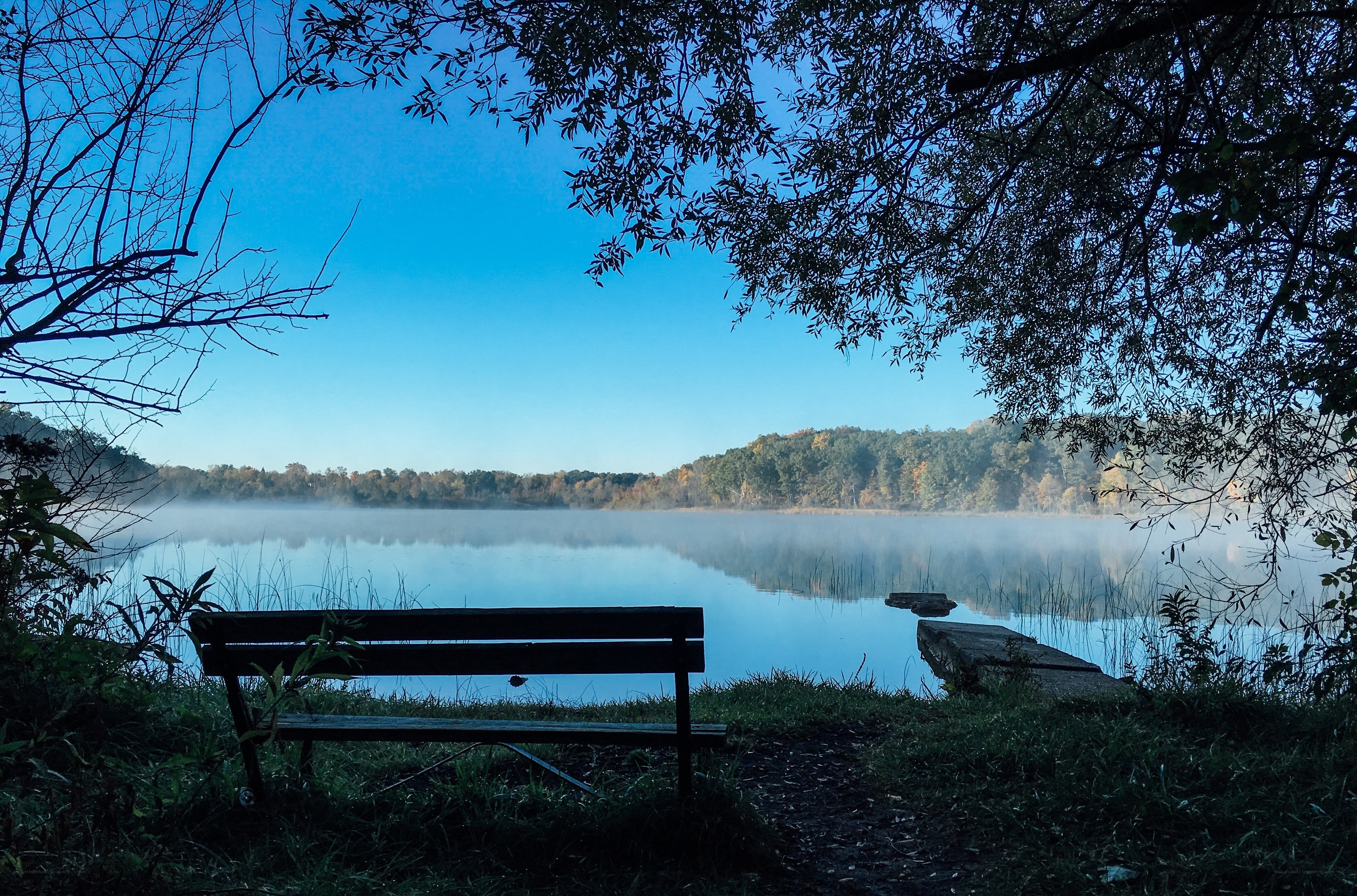 Bench by misty lake at dawn