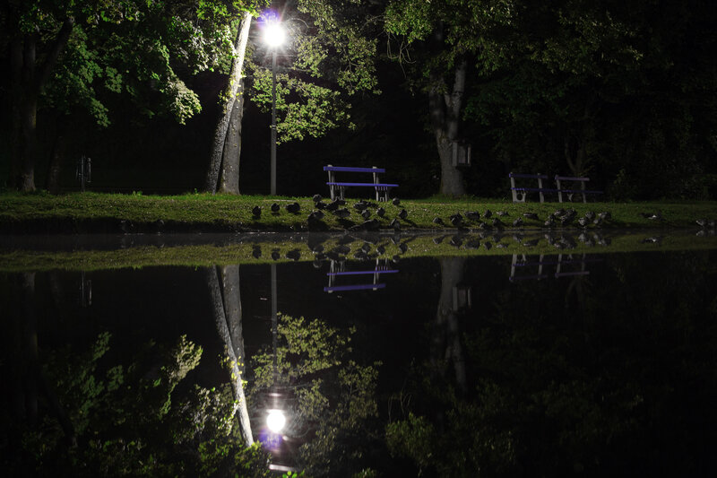 Bench by Pond at Night