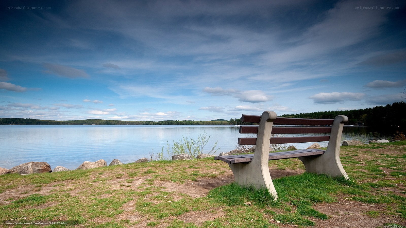 Bench by the lake