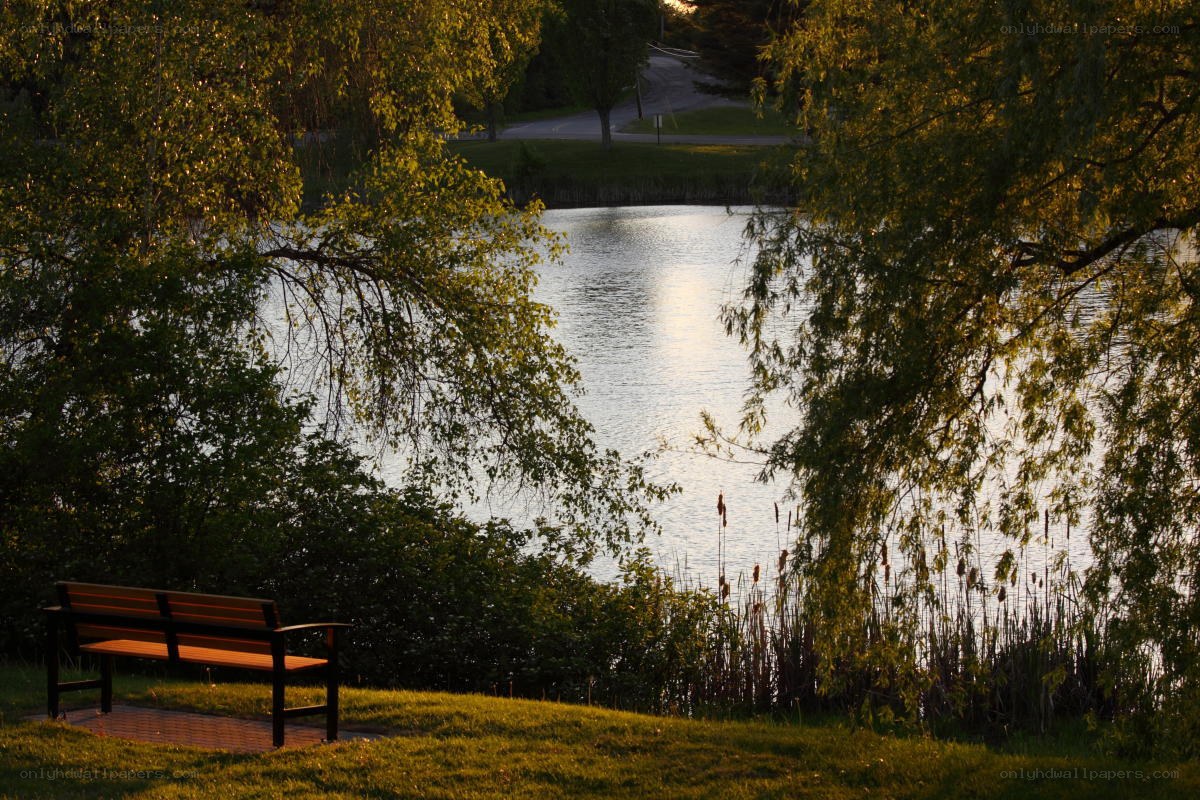 Bench by the lake at sunset
