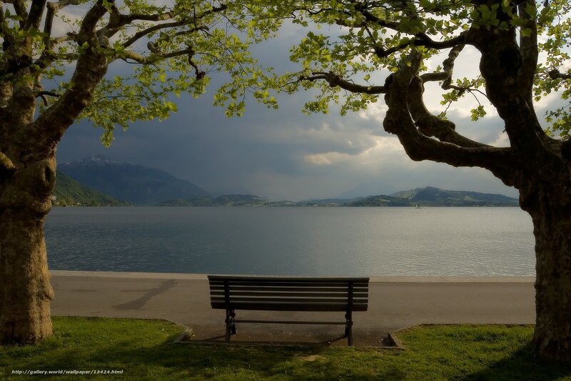 Bench by the lake