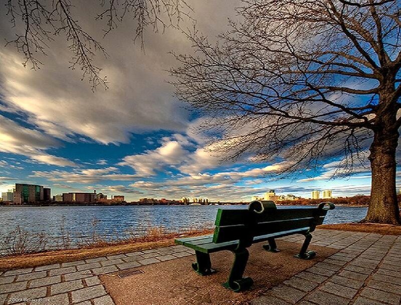 Bench by the river with city view