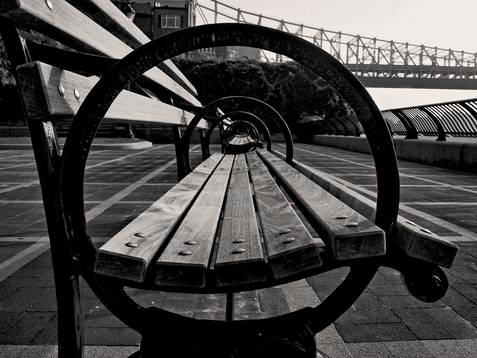 Bench in a city park
