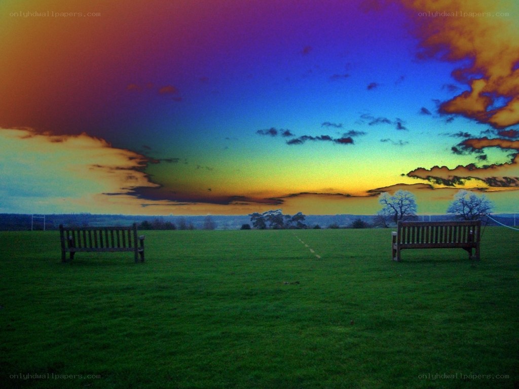 Bench in a field at sunset