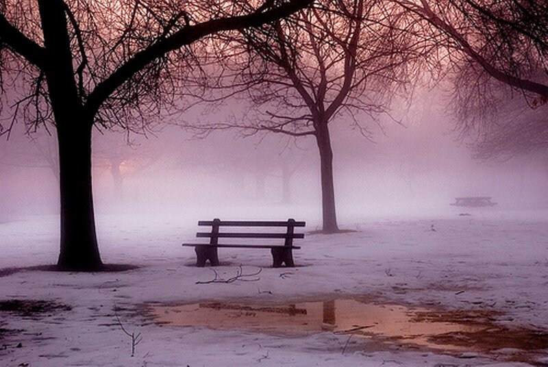 Bench in a foggy park