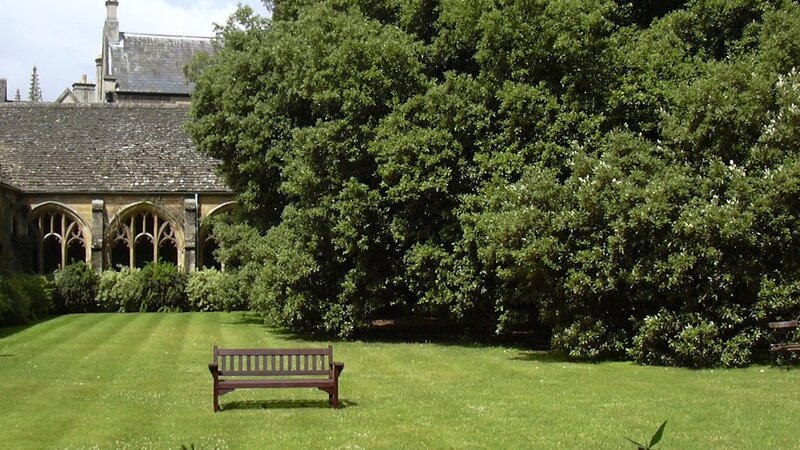 Bench in a garden courtyard