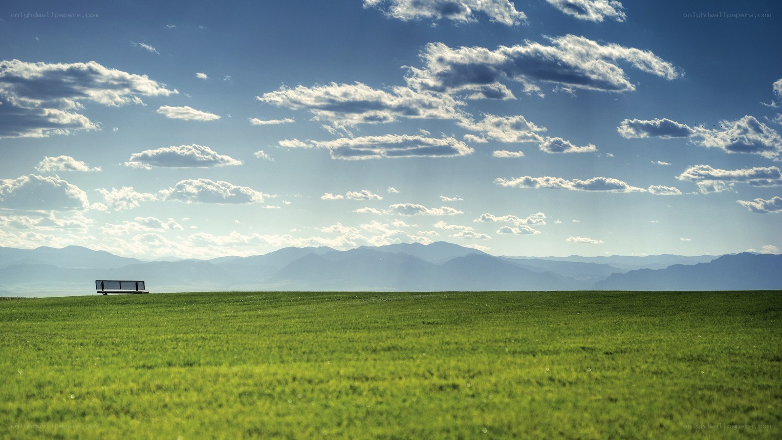Bench in a green field