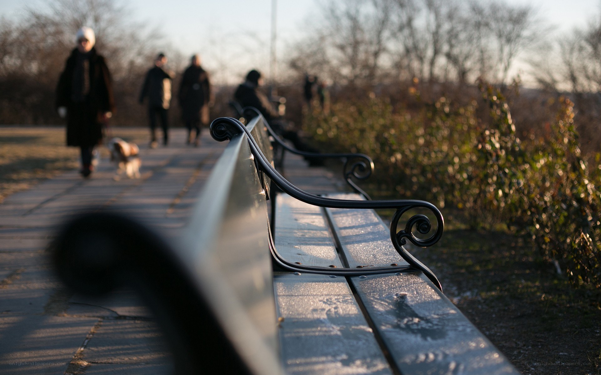 Bench in a park at sunset