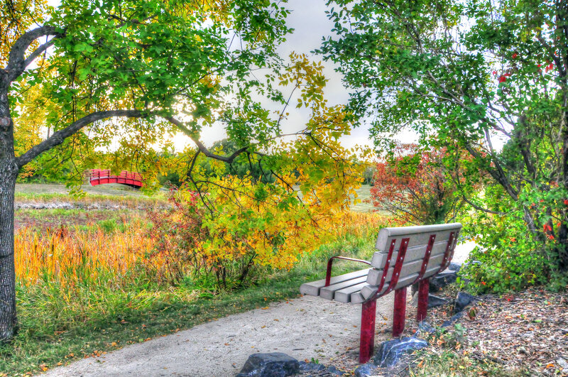 Bench in Autumn Park — Green, Serene