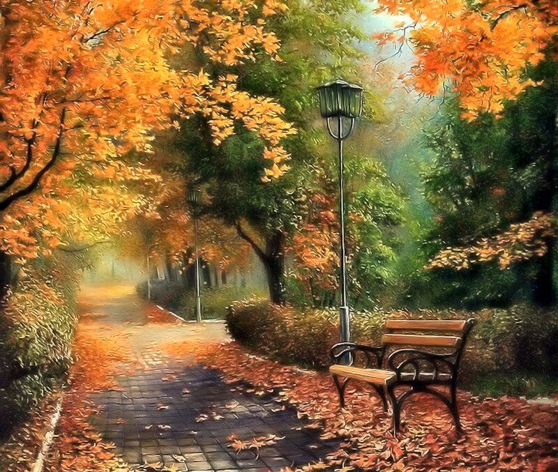 Bench in Autumn Park — Orange, Serene