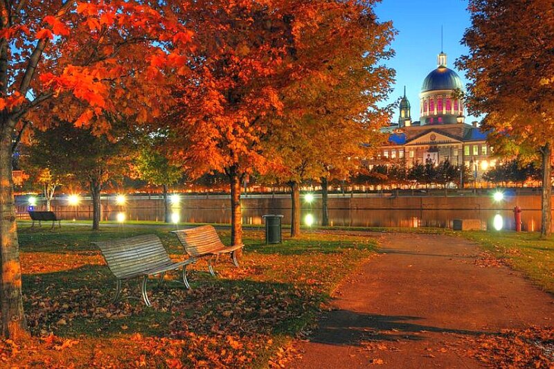 Bench in Autumn Park