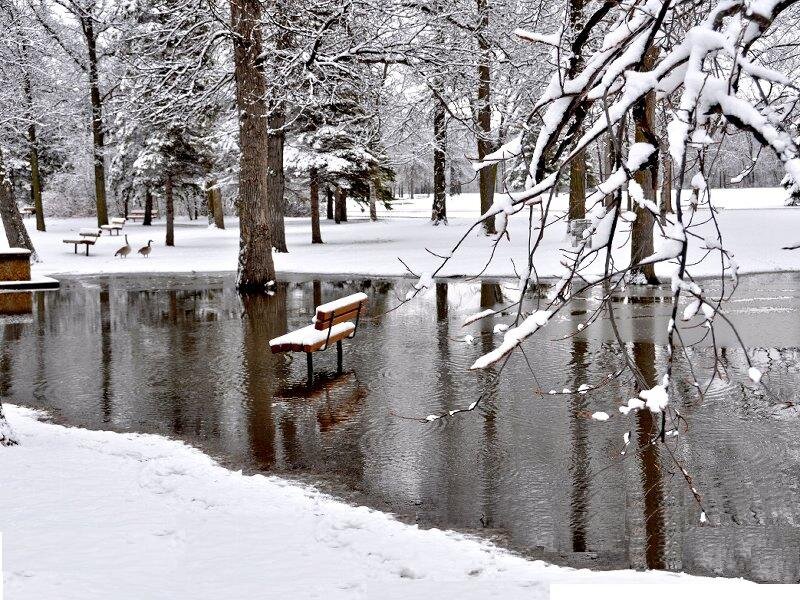 Bench in Flooded Park
