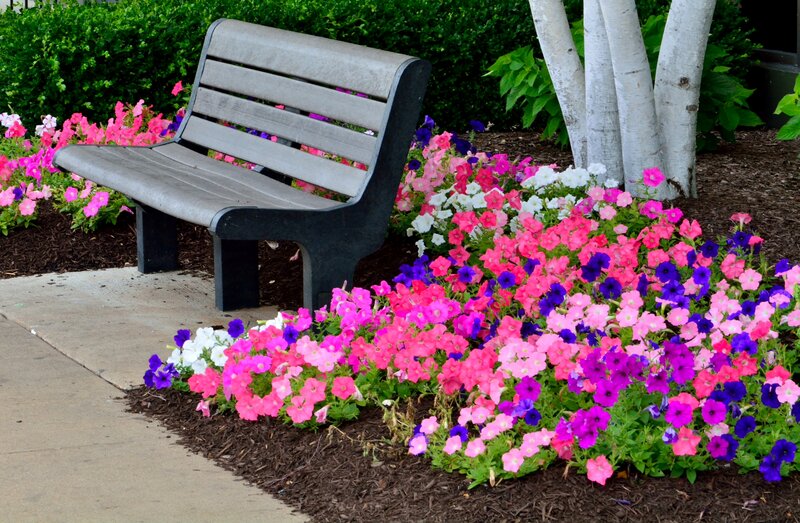 Bench in Flower Bed
