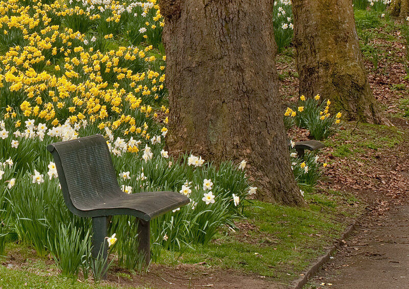 Bench in Flower Garden
