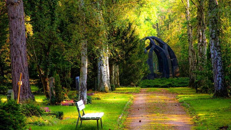 Bench in Forest Park