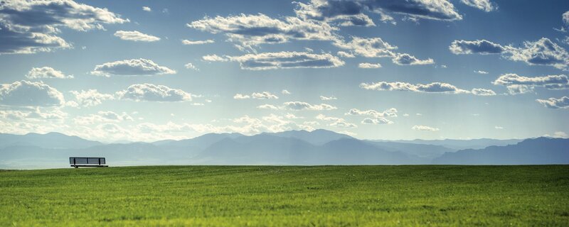 Bench in Green Field — Serene, Afternoon