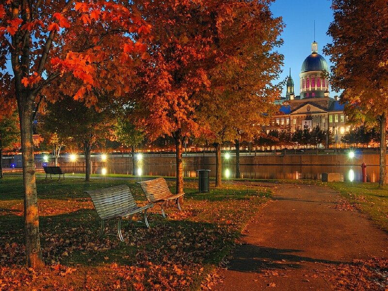 Bench in Park