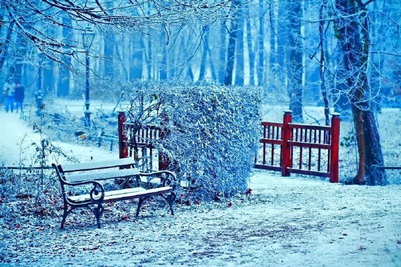 Bench in Snowy Park — Blue