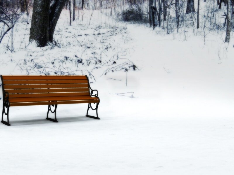 Bench in snowy park