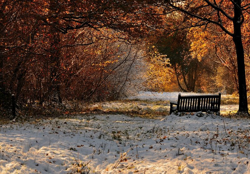Bench in Snowy Park — White