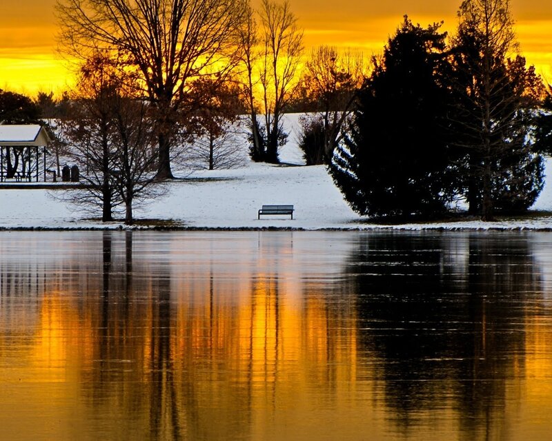 Bench in Snowy Park — Yellow, Serene