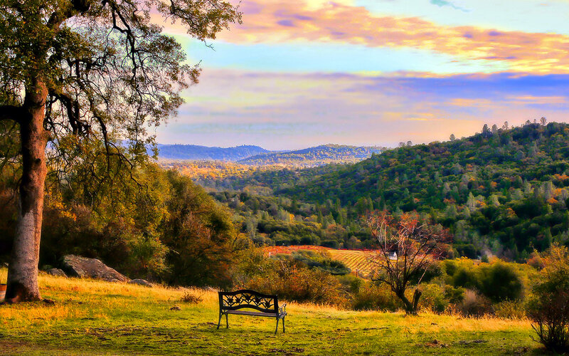 Bench in Valley Landscape