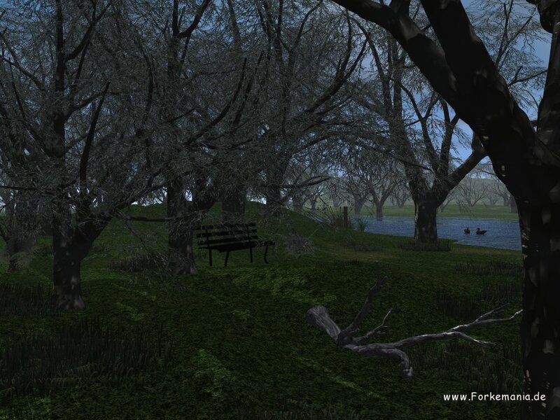 Bench in Wooded Park