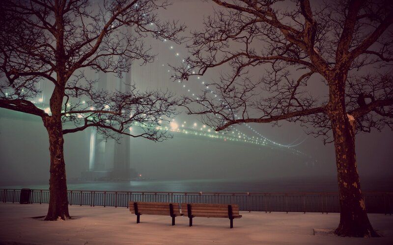Bench Near Bridge