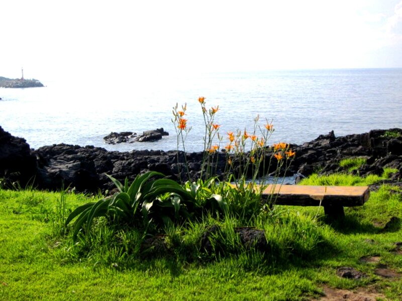 Bench Near Ocean