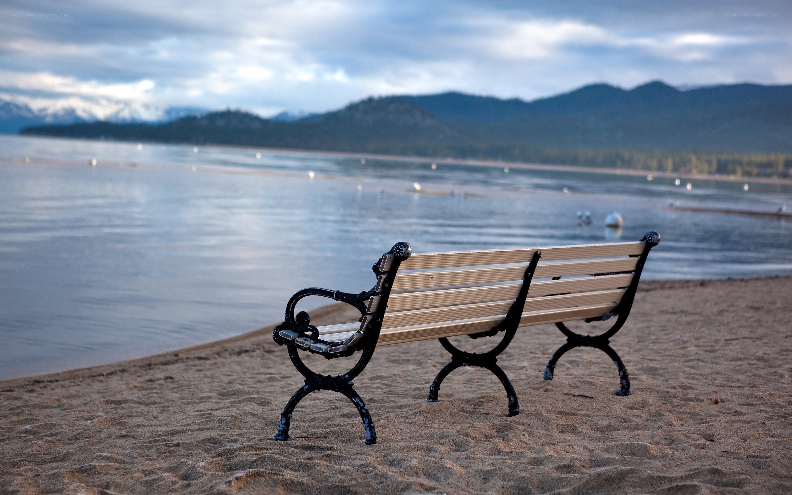Bench on a lakeside beach
