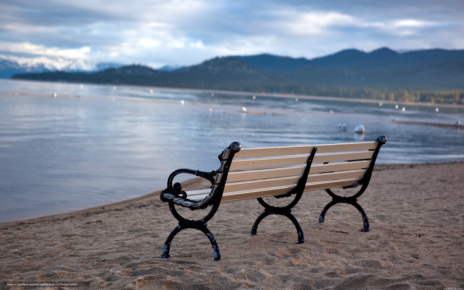 Bench on a lakeside beach