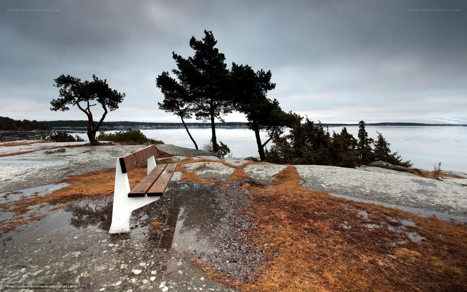 Bench on a rocky shore