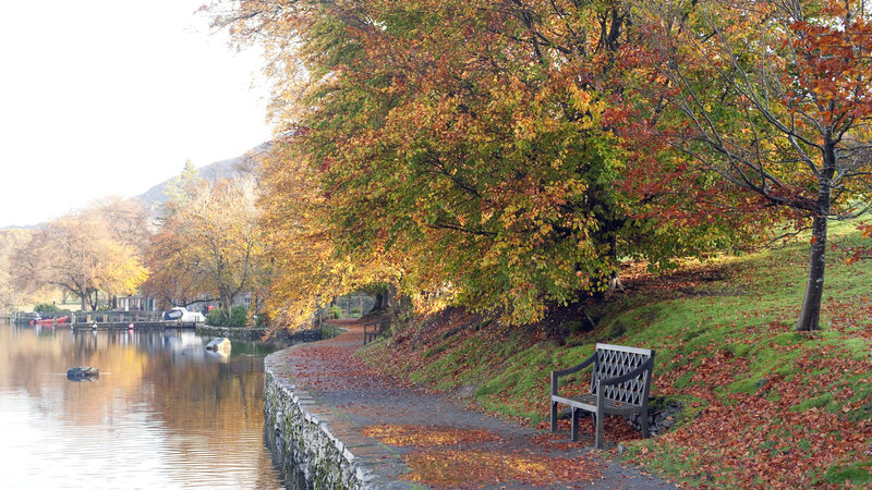 Bench on Lakeside Path