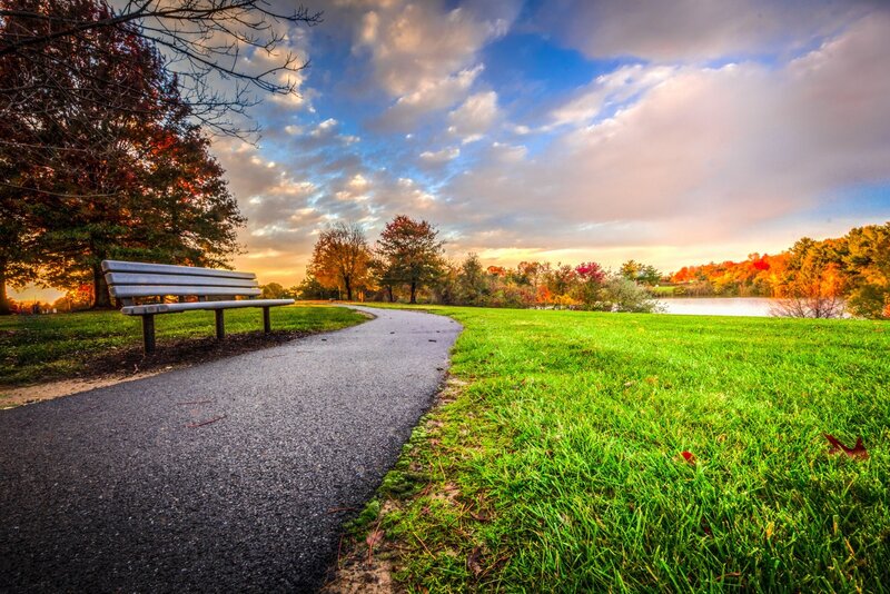 Bench on Park Path