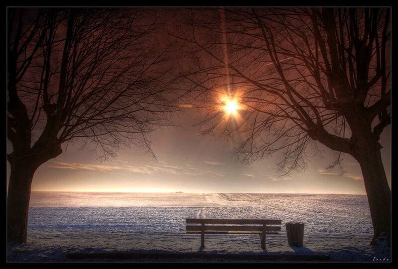 Bench on Snowy Shore