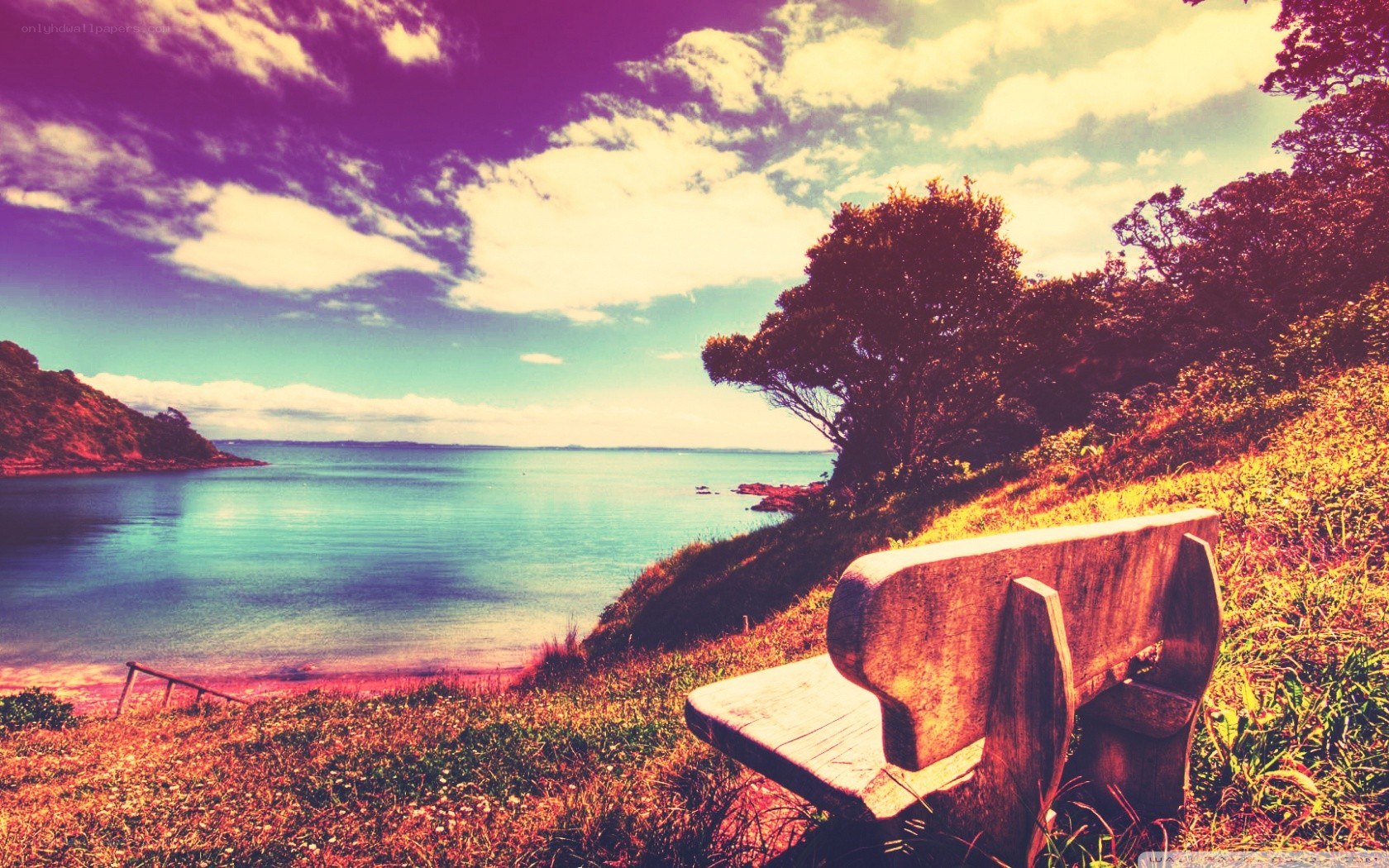 Bench overlooking a coastal bay