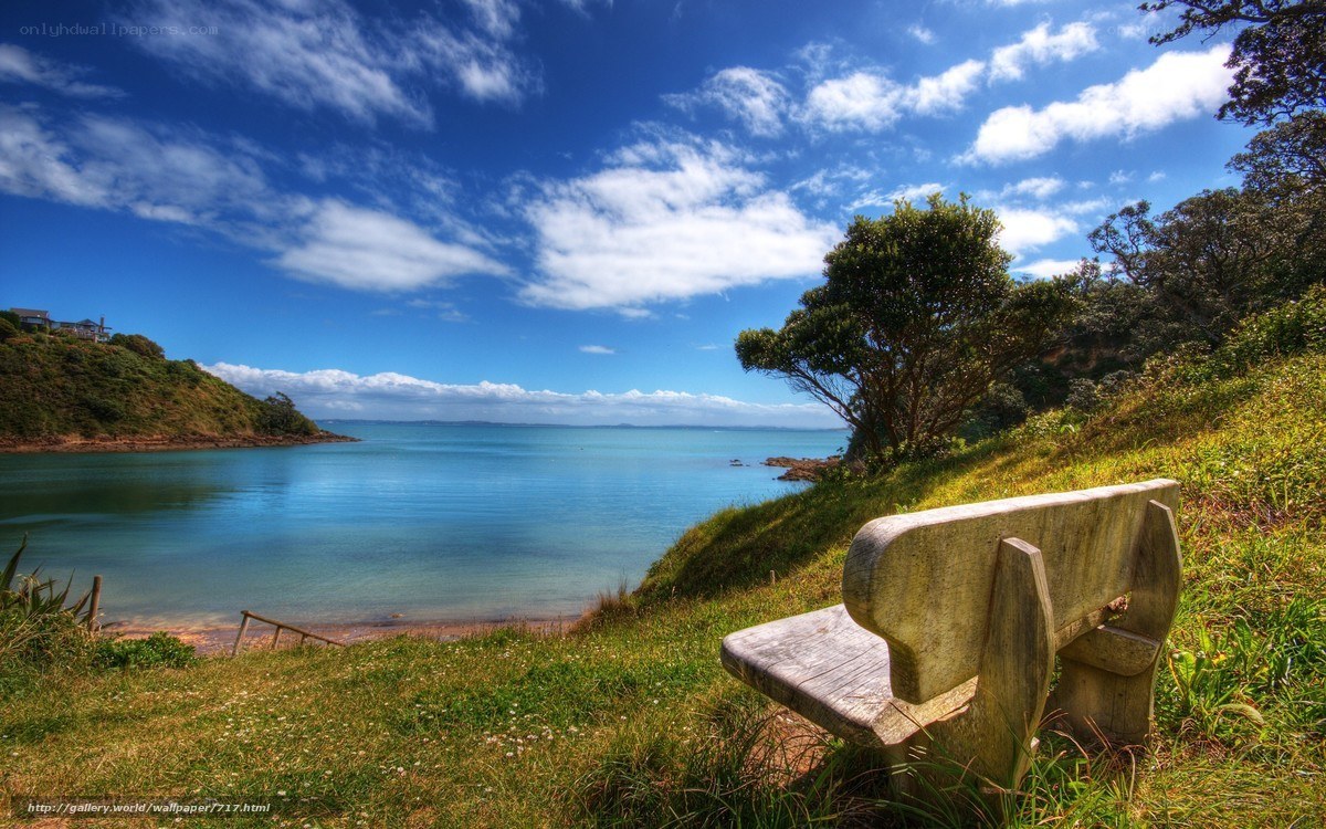 Bench overlooking a coastal bay
