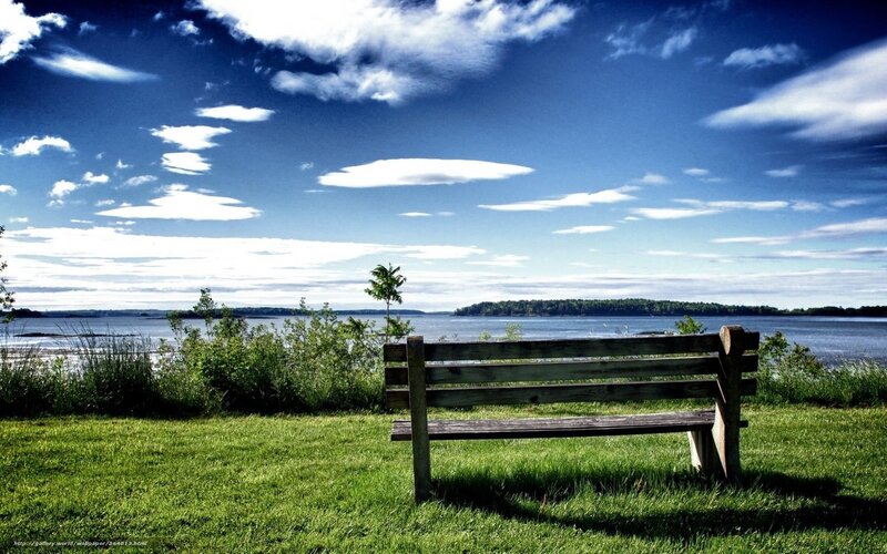 Bench overlooking a lake