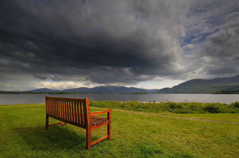 Bench overlooking a lake